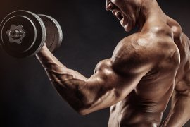 Pamätujú si naše svaly? Svalová pamäť a jej funkcia